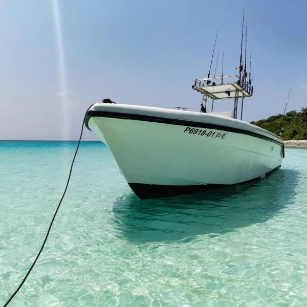 Tropical Lodge - Maldiven