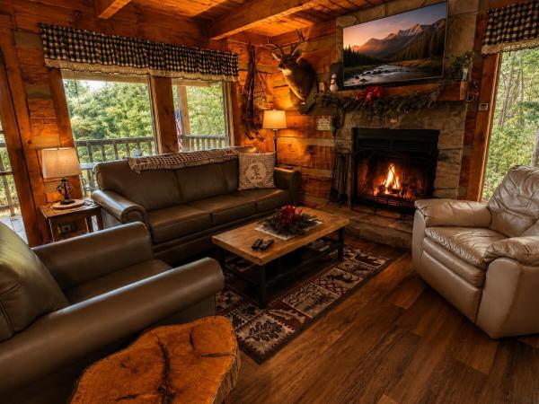 Mtn Views Hot Tub 10 Min To Pigeon Forge - Townsend, TN