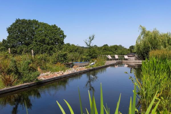 Farmhouse Retreat Swim Pond, Hot Tub And Sauna - Devon