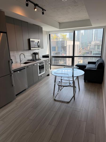 Nice And Cozy Open Layout Condo In The Heart Of Downtown - Toronto