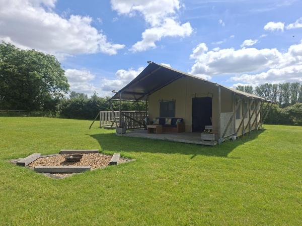 The Alpaca - Hertfordshire