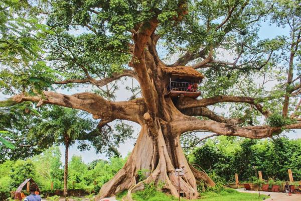 Wassado Cultural Lodging - Senegal