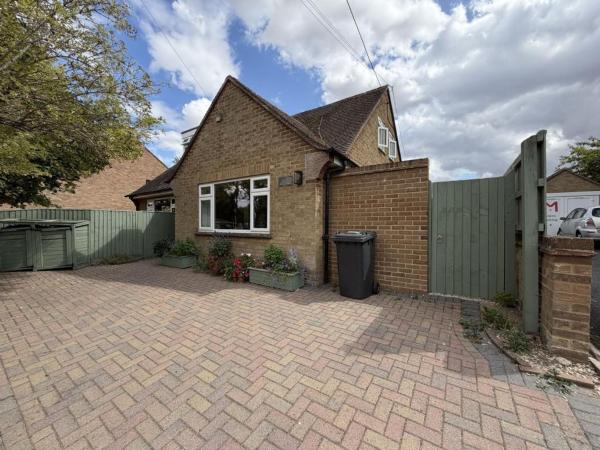 Plum Tree - Witney