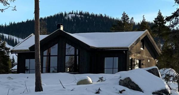 Sunny Retreat On Nesfjellet Near Alpine Skiing - Nesbyen