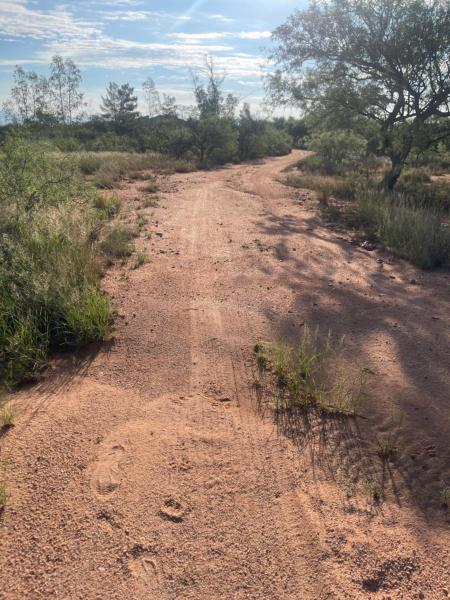 Calle Tortuga Farm - Arizona