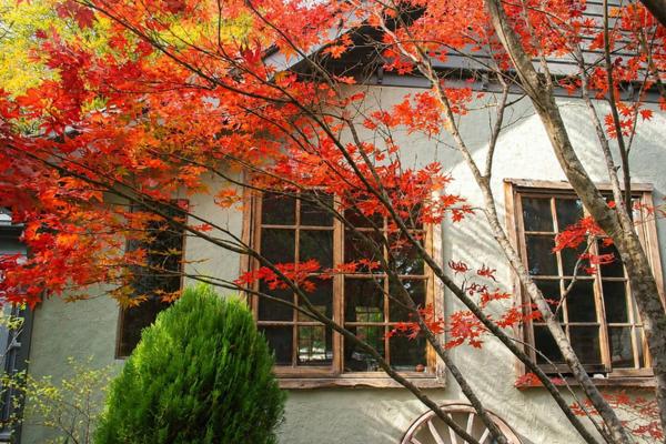 Magnolia 2b - 2 Perrins Creek Rd Olinda - Dandenong Ranges