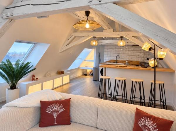 T3 Loft Cocon - ibis Bourges Centre