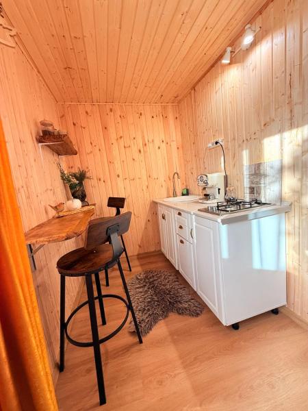 Colț Verde 1 - Log Cabin In The Forest-experience - Romania