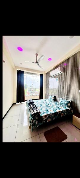 Lotus Home Stay - Rajasthan
