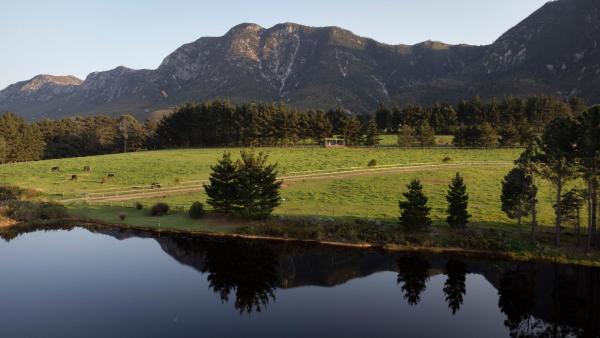 Hemel 'N Aarde Stud - Hermanus