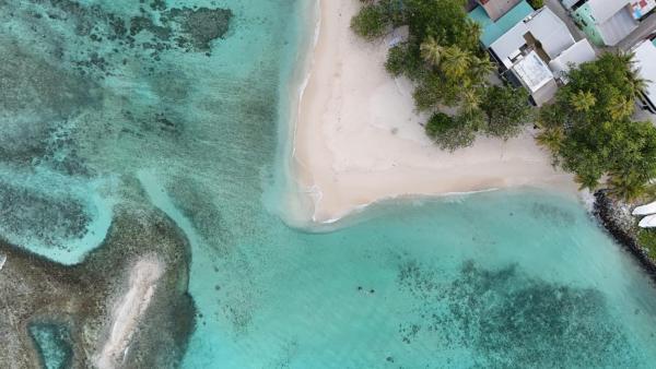 Oceanvine Maldives - Malediven