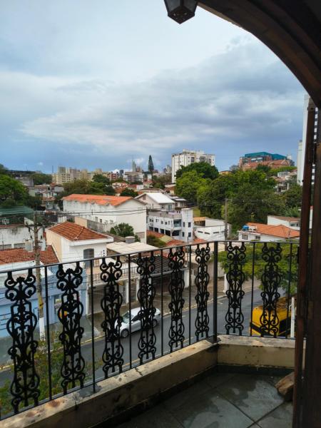 Monte Das Oliveiras - Pinheiros
