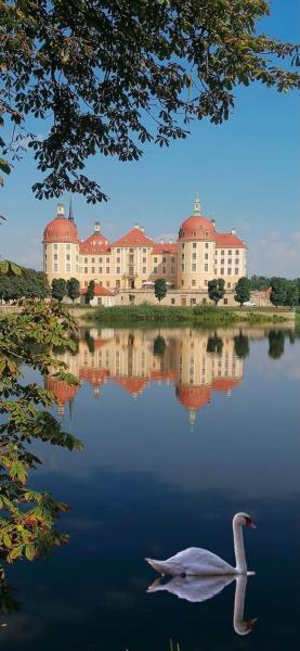 Moritzburg Schlossblick - Dresden