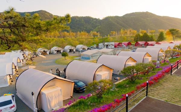 위더스글램핑 Withus Glamping - 대한민국