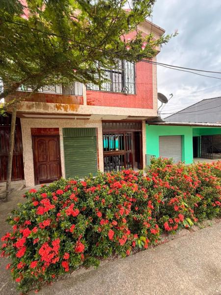 Milflora Casa Completa - Nuquí