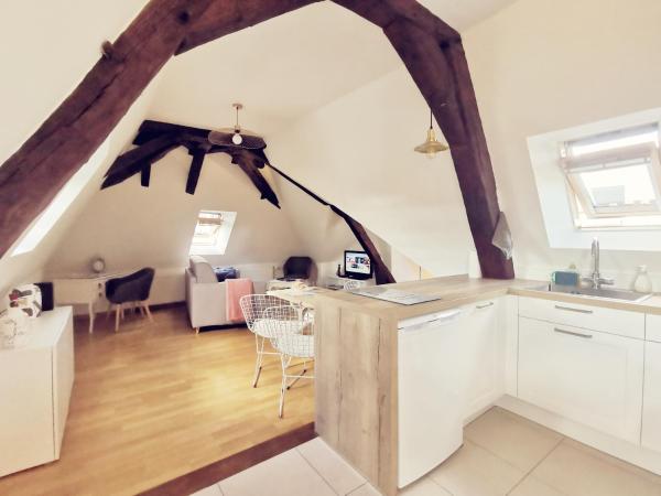 La Manécanterie - Parking Privé Inclus En Cour Fermée - Cher