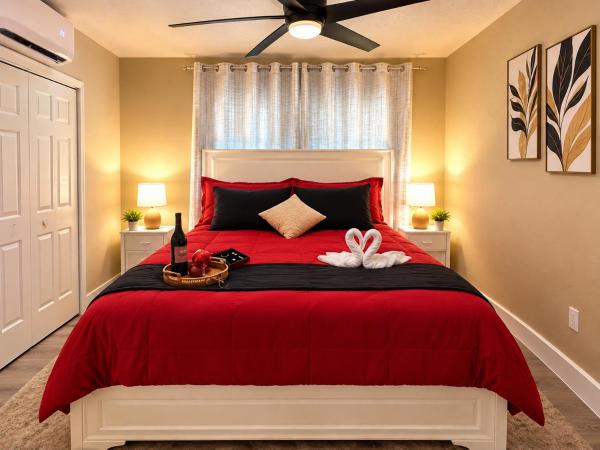 Modern Private Studio Near Usf Busch Gardens - Tampa