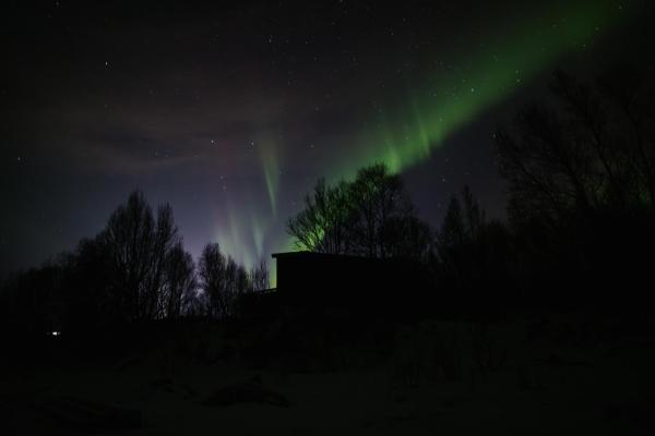 Northern Lights Glamping Near Bodø - Saltstraumen