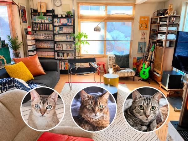 猫と暮らす家 車1台駐車可 English Español Available 遅い時間のチェックイン対応 - 札幌市