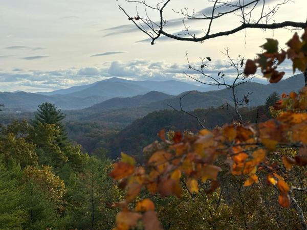 Robins Nest - Maryville, TN