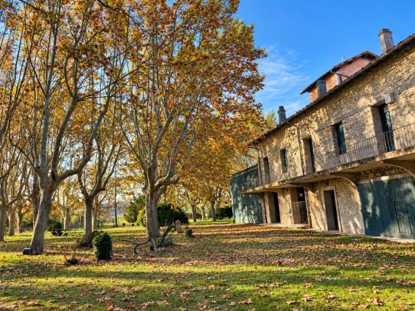 La Canopée Suites & Spa - Gard