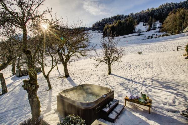 Chalet Du Bois, Morzine Centre, 14 Personnes - Avoriaz