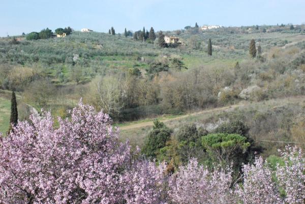 Gli Oleandri Di Belfiore - Montelupo Fiorentino