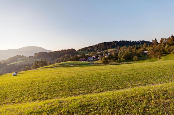 A la foto es mostra l'objecte Apartmaji Pr-Gujlu Sela nad Podmelcem 5220 TOLMIN situat a la ciutat de Grahovo.