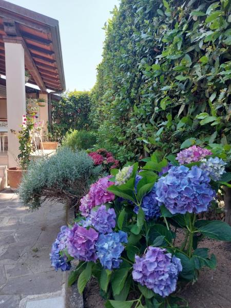 Casaema - Provincia de Lucca