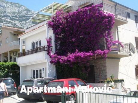 Apartments Vukovic - Makarska