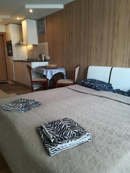 Apartment Vilnius Zemaitijos - Vilna