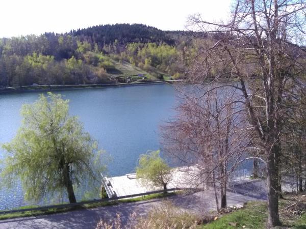 På billedet ses objektet Apartment Kovacevic beliggende i byen Fužine.
