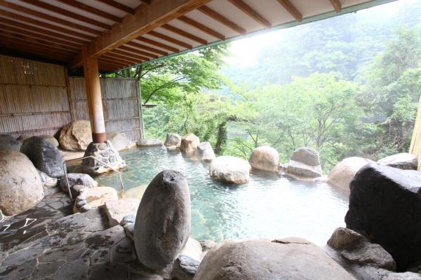 Na foto é possível ver o objeto Hotel New Ohruri localizado na cidade de Nikko.