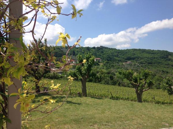 Bed & Wine Rocco Zambri photo 8