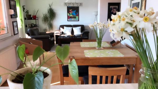 Orion Apartment
