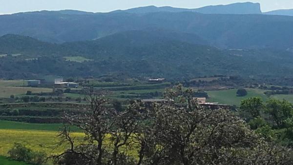 A la foto es mostra l'objecte Casa Rosalia situat a la ciutat de Castillonroy.