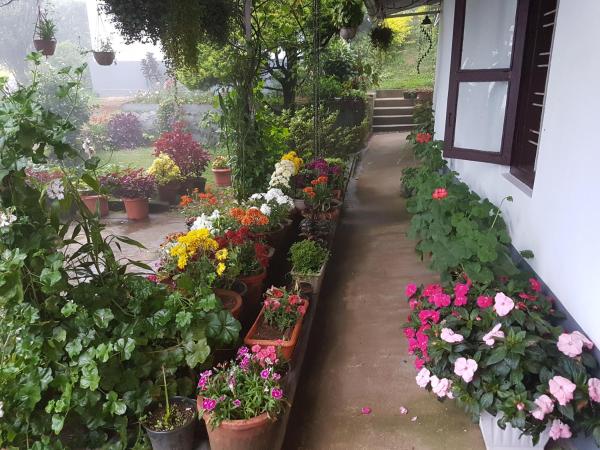Na zdjęciu widoczny jest obiekt Rheinberg Town Haus położony w mieście Munnar.