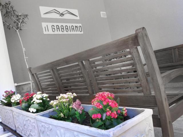 Il Gabbiano