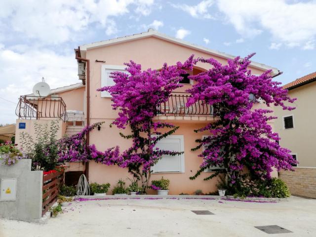 Apartments Bardak