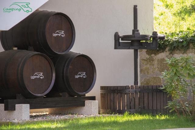 Camping Lamego Douro Valley