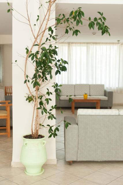 Ageri Hotel