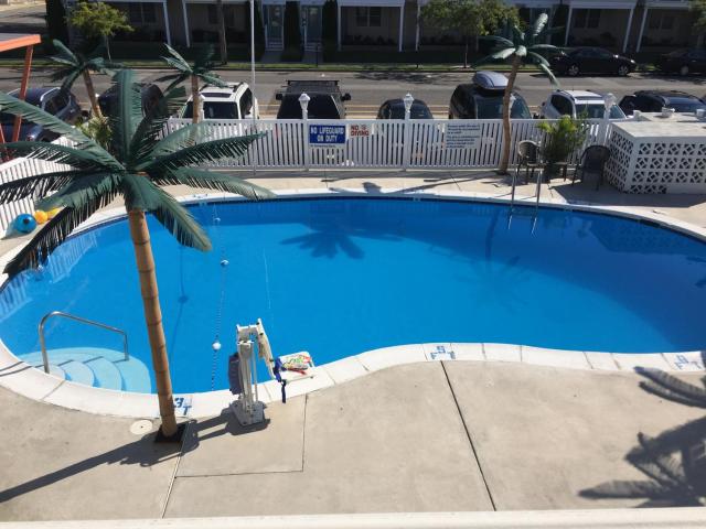 Dolphin Inn