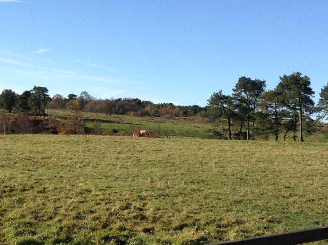 Bonners Lodge