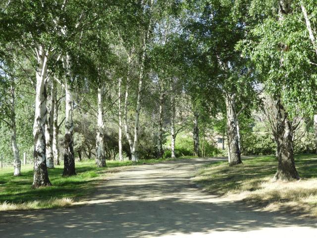O Naturel Vineyard Stay