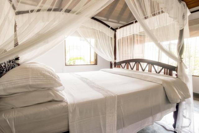 Mount Lodge Boutique Hotel