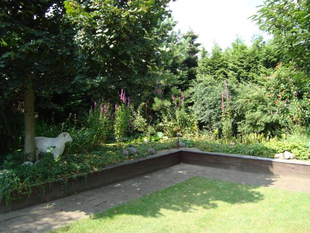 Vakantiehuis Petrarca