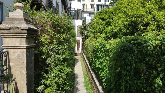 Nel Giardino degli Agrumi