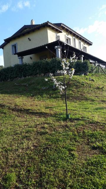 B&B Sa Soliana