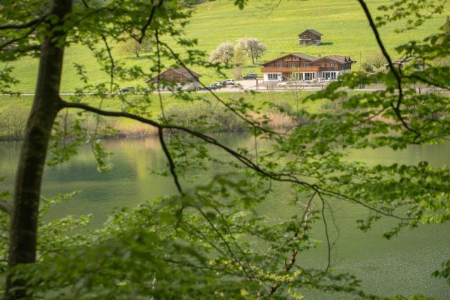Hotel-Restaurant Burgseeli
