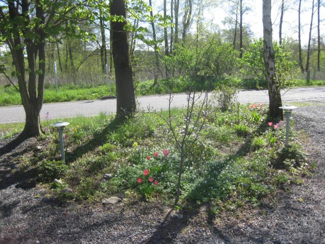 Ved Vandet